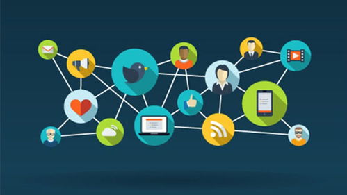 企业软件定制开发 精准赋能，驱动业务增长